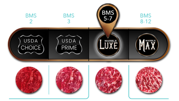 MR Luxe Meter Graphic