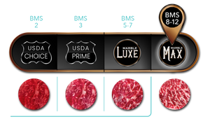 MR Max Meter Graphic